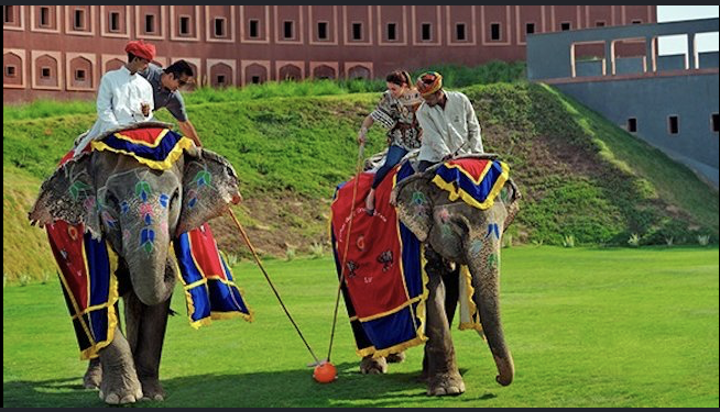 Elephant polo
